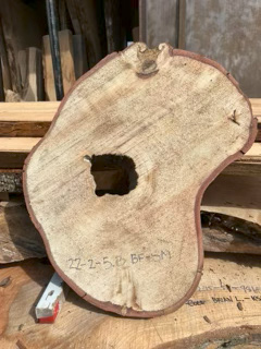 Spalted Maple